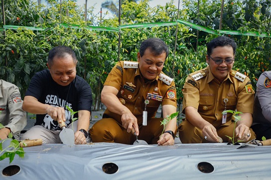 Antisipasi Kelangkaan Cabai, Pemprov Jateng Lakukan Penetrasi Distribusi